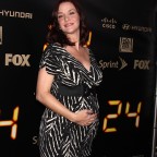 Annie Wersching at 24 Series Finale Party - 26