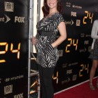 Annie Wersching baby bump at 24 Series Finale Party 