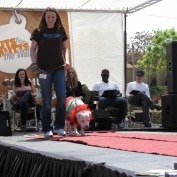Annie Wersching at 2010 Nuts for Mutts