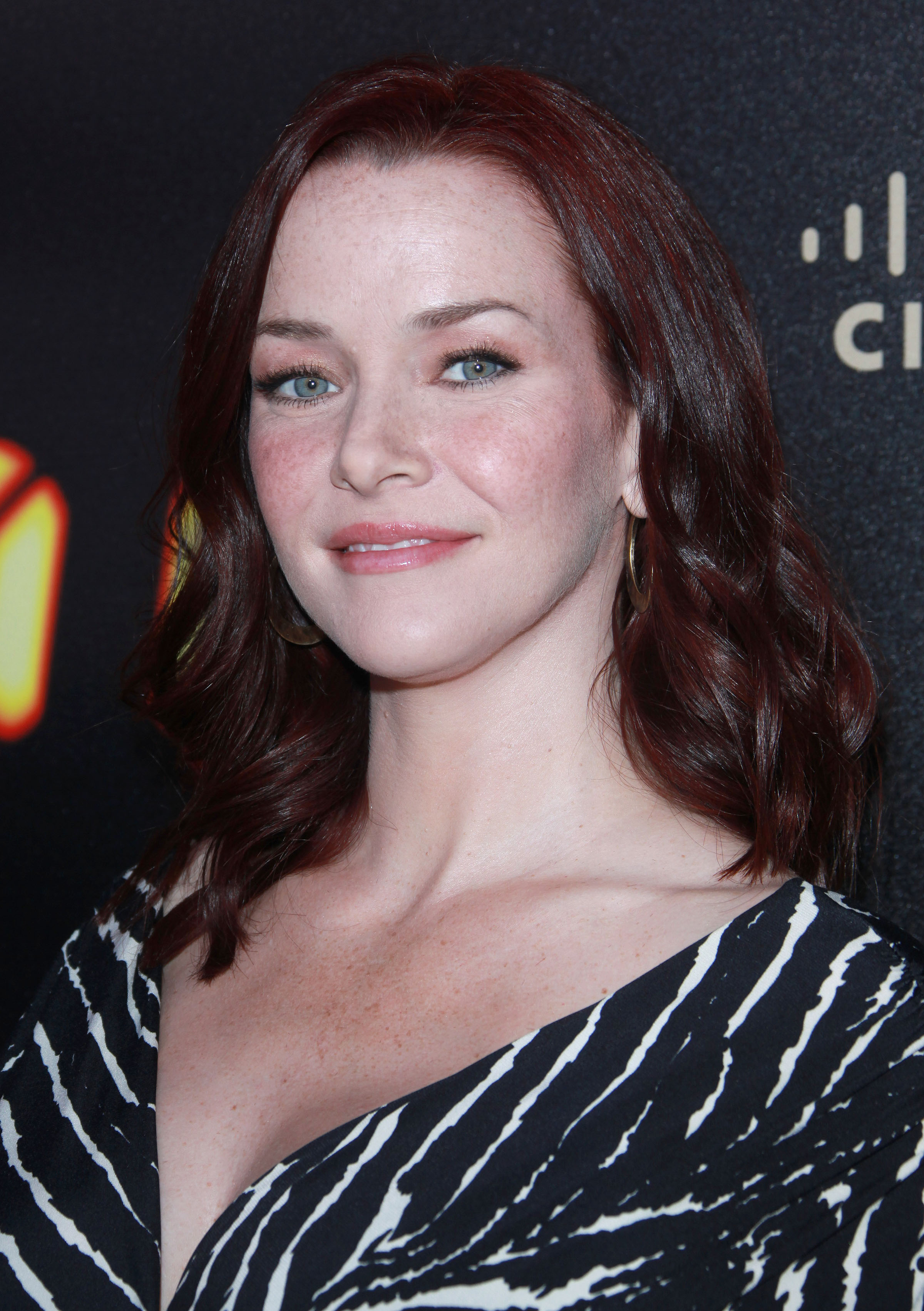 Annie Wersching at 24 Series Finale Party - 42