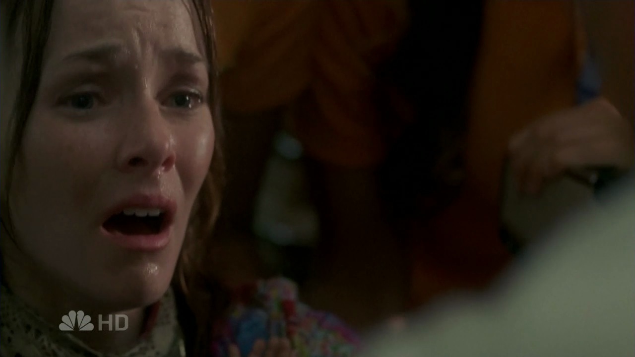 Annie Wersching as Diana Bloom in Journeyman