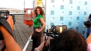 Annie Wersching red carpet FOX All-Star Party Santa Monica Pier 2008