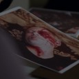 Vladimir Laitanan Evidence