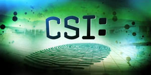 CSI logo