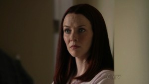 Annie Wersching No Ordinary Family Mine