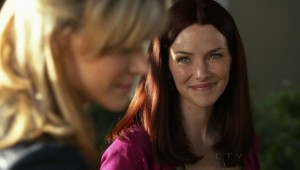 Annie Wersching No Ordinary Family barbeque