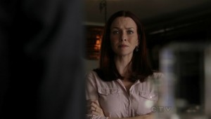 Annie Wersching No Ordinary Family pleading