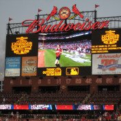 Annie Wersching on Busch Stadium jumbotron