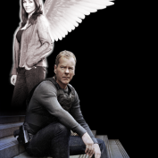 renee-walker-angel_fanart-faridilost