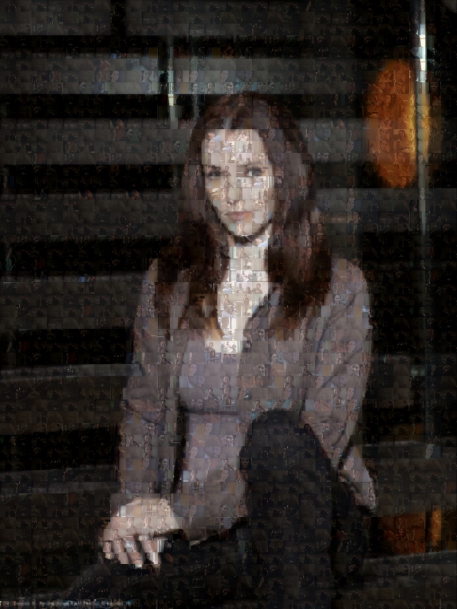 Renee Walker Season 8 Photo Mosaic by atomicentity
