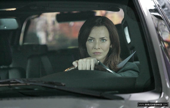 annie-wersching-renee-walker-7x05promo0