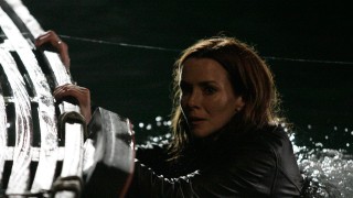 Promo Pics