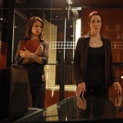 annie-wersching-renee-walker-8x08promo2