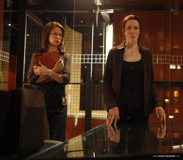 annie-wersching-renee-walker-8x08promo2