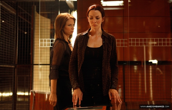 annie-wersching-renee-walker-8x08promo6