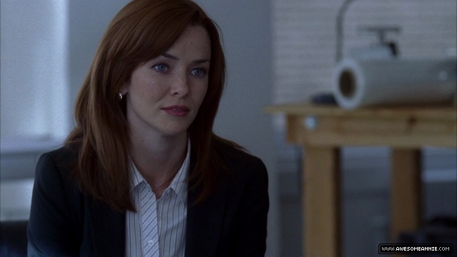 Annie Wersching as Renee Walker in 24 Season 7 Episode 1