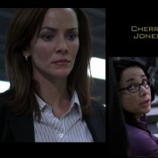 Annie Wersching as Renee Walker in 24 Season 7 Episode 4