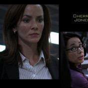 Annie Wersching as Renee Walker in 24 Season 7 Episode 4