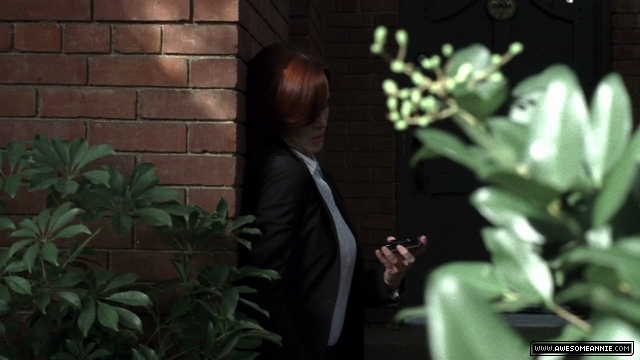 Annie Wersching as Renee Walker in 24 Season 7 Episode 5