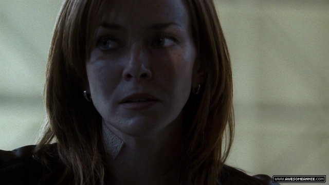 Annie Wersching as Renee Walker in 24 Season 7 Episode 6