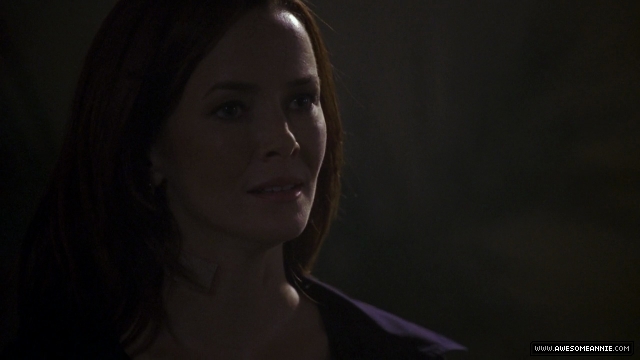 Annie Wersching as Renee Walker in 24 Season 7 Episode 13