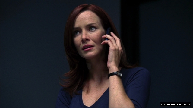 Annie Wersching as Renee Walker in 24 Season 7 Episode 15