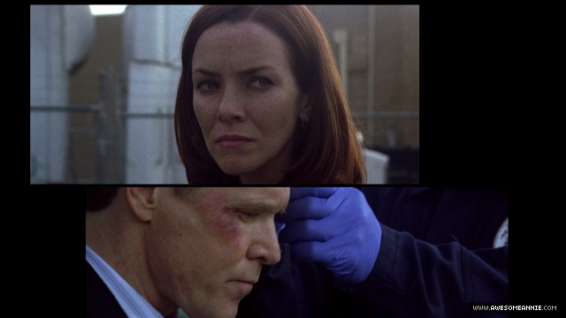 Annie Wersching as Renee Walker in 24 Season 7 Finale