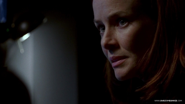 Annie Wersching as Renee Walker in 24 Season 7 Finale