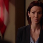 Annie Wersching in Harry's Law