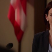 Annie Wersching in Harry's Law