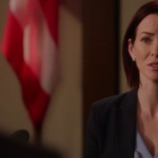 Annie Wersching in Harry's Law