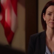 Annie Wersching in Harry's Law