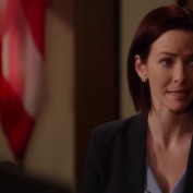 Annie Wersching in Harry's Law