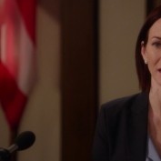 Annie Wersching in Harry's Law