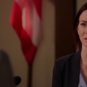 Annie Wersching in Harry's Law