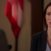 Annie Wersching in Harry's Law