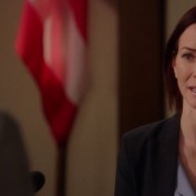 Annie Wersching in Harry's Law