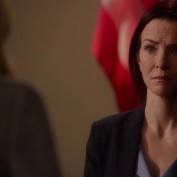 Annie Wersching in Harry's Law