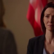 Annie Wersching in Harry's Law