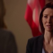 Annie Wersching in Harry's Law