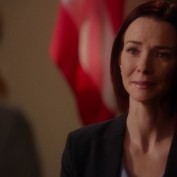 Annie Wersching in Harry's Law