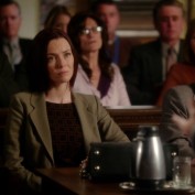 Annie Wersching in Harry's Law