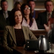 Annie Wersching in Harry's Law