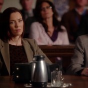 Annie Wersching in Harry's Law