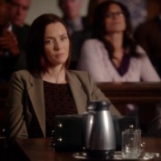 Annie Wersching in Harry's Law