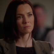 Annie Wersching in Harry's Law