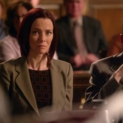 Annie Wersching in Harry's Law