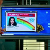 Annie Wersching in Hawaii Five-0