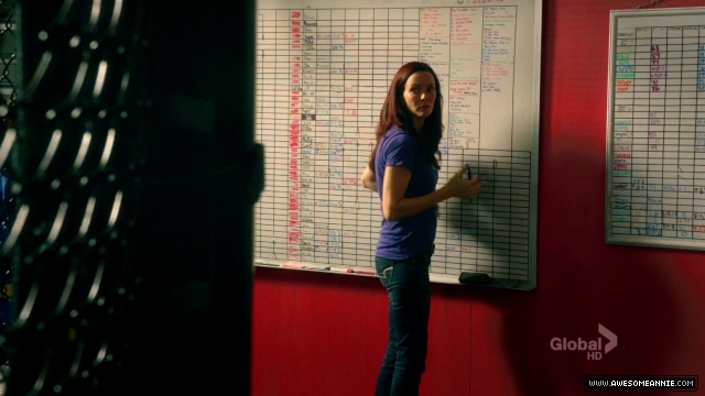 Annie Wersching in Hawaii Five-0