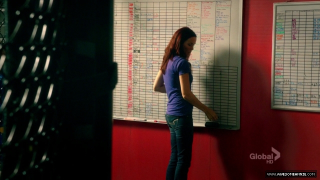 Annie Wersching in Hawaii Five-0